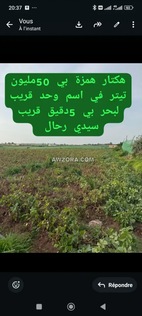 ارض فلاحية تيتر فيها هكتار او 800م